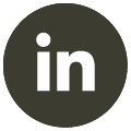 linkedin-icon